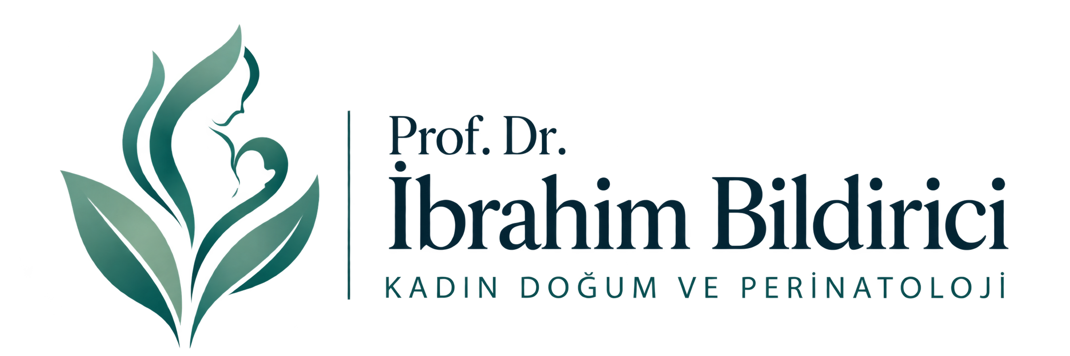 Prof. Dr. İbrahim Bildirici Kadın Doğum ve Perinatoloji